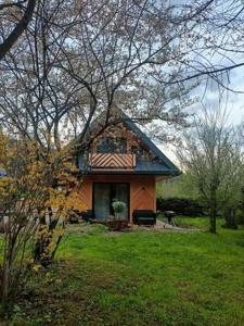 ein kleines Haus auf einem Feld mit einem Baum in der Unterkunft Domki przy skwerku in Zakopane