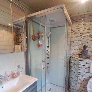 bagno con doccia e lavandino di ländlich & gemütlich in Raeren mit 2 Schlafzimmern a Raeren