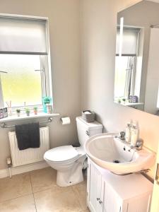 W łazience znajduje się toaleta, umywalka i lustro. w obiekcie The Pink Door w mieście Ennis