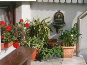 un grupo de macetas en una cornisa con un reloj en Apartment Žvan, en Bohinj