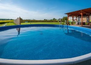 a large swimming pool in a yard at Ranczo Łubowice - wynajmij sobie spokój in Łubowice