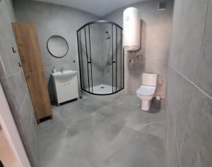 a bathroom with a shower and a toilet and a sink at Apartamenty Drewniaki in Rydzewo