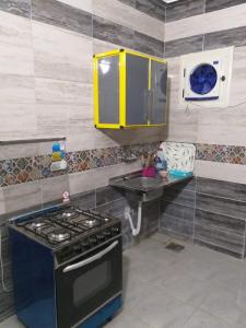 Il comprend une cuisine équipée d'une cuisinière et d'un évier. dans l'établissement Aswan Hotel Appartments, à Assouan