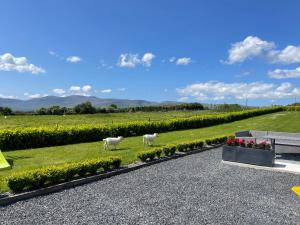 Gallery image of Country View House in Milltown