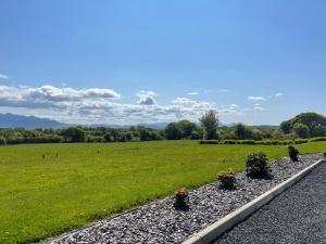 a grassy field with some plants on a gravel road at Country View House in Milltown +20 photos