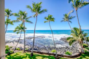un grupo de palmeras en la playa en Kona Bali Kai #318, en Kailua-Kona