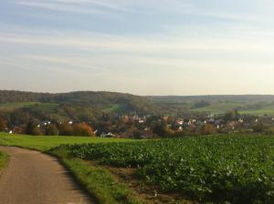 una strada sterrata attraverso un campo di colture di SweetSuites 40A Lavendelhaus a Mühlhausen/Thüringen