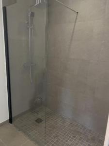 eine Dusche mit Glastür im Bad in der Unterkunft Antibes appartement in Antibes
