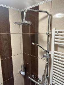 a shower with a shower head in a bathroom at Tiny Traditional House in Bucharest