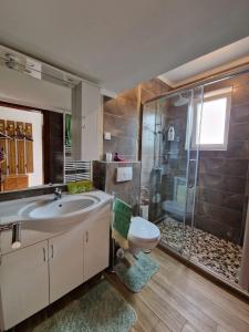a bathroom with a sink and a shower and a toilet at Vizmeg Holiday Home in Dubrovnik