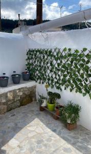 a white wall with potted plants on a patio at Tasos_Studios&Apartments in Kranidi