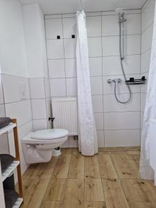 a bathroom with a toilet and a shower at Nordunterkunft in Neumünster