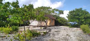 ファカラヴァ環礁にあるFAKARAVA - Teariki Lodge 1の木々の間の小屋