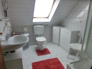 a bathroom with a toilet and a sink and a window at Haus Mühlenblick Luftkurort Werdum in Neuharlingersiel +32 photos