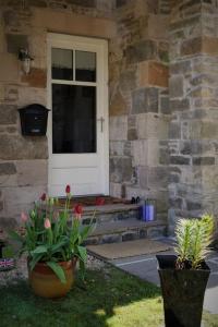 a front door of a house with two potted plants at Loch Lomond Unique Selfcontained bed+bathroom in Alexandria