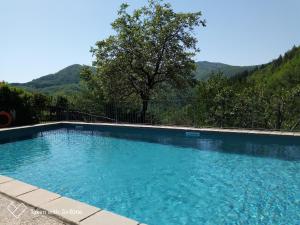 une grande piscine bleue avec des montagnes en arrière-plan dans l'établissement Agriturismo Ristoro del Cavaliere, à Piazza al Serchio