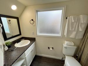 ein Bad mit einem WC, einem Waschbecken und einem Fenster in der Unterkunft Cedar Tiny Home in Woodland Park