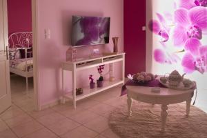 uma sala de estar com televisão e paredes roxas em Flower Pot Complex Aparts! em Preveza