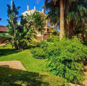 un jardin avec des palmiers et des buissons en face d'un bâtiment dans l'établissement Spacious and stylish penthouse in Mijas, à Mijas