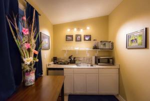 a small kitchen with a sink and a microwave at talkeetna villas and tours in Talkeetna