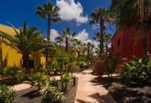 een tuin met palmbomen en een rood en geel gebouw bij Oasis vistamar in Corralejo