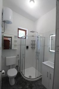 a bathroom with a shower and a toilet and a sink at Holiday house with a parking space Rudina, Hvar - 18333 in Stari Grad