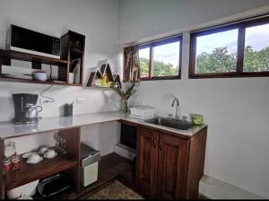 a kitchen with a sink and a counter and two windows at Cabaña Bambú in Cartago