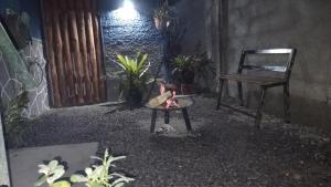 a room with a chair and a toy dog in it at AP Temporada Monte Verde in Monte Verde +22 photos