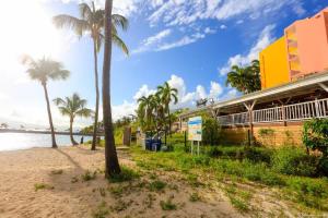 a beach with palm trees and a building at Paradis studio & plage à 1 min in Le Gosier