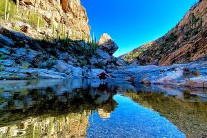Imagem da galeria de Charming Basement Studio Guesthouse 2 Blocks from UofA, Low Summer Rates! em Tucson