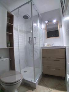 une salle de bain avec une douche avec des toilettes et un lavabo dans l'établissement La Perle du Sable Blanc, à Saint-Gilles les Bains