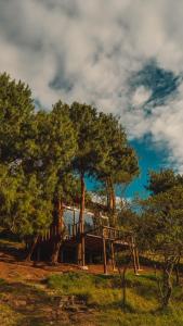 a tree house sitting on top of a field at Alma de Campo Glamping - Laguna de Suesca in Suesca