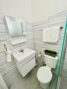 a bathroom with a toilet and a sink and a mirror at Jireh 1 ¤ Near to Airport¤ in San Juan