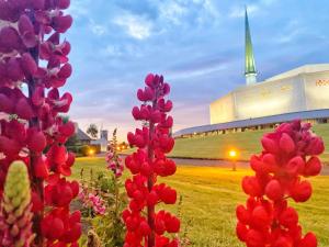 Сад в Elegant Rooms and Suites in Knock
