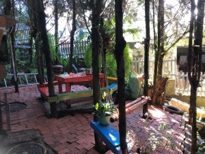 Zahrada ubytování Homestay Vườn Tùng