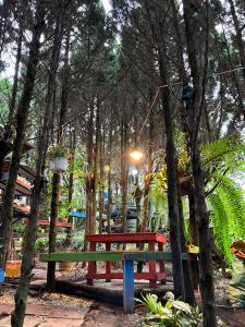 Zahrada ubytování Homestay Vườn Tùng