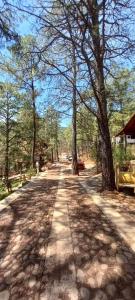 Paesaggio naturale nelle vicinanze dello chalet