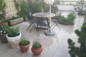 a patio with a table and chairs and potted plants at Spacious apartment with the terrace in Vilnius