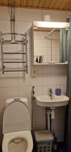 クオピオにあるKeskustan kaksio, ilmainen autopaikka.のトイレと洗面台付きのバスルーム