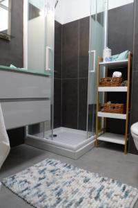 a bathroom with a shower with a toilet and a rug at Nidu Accogliente in Balagna in LʼÎle-Rousse +41 photos