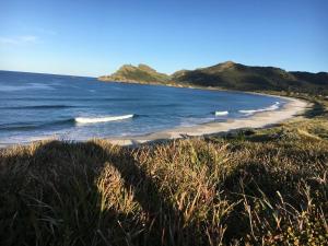 a beach with some waves in the ocean at Medlands Beach House in Great Barrier Island