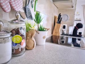 a kitchen counter with potted plants on a counter top at Luxury apartment Salona in Solin