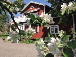 Zahrada ubytování Kroksta Gård + 10 fotografií