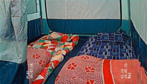two beds in a room with blue walls at Zions Camping sight in Srinagar