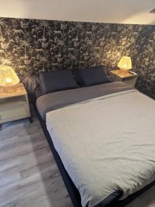 a bedroom with a large bed and two lamps on tables at appartement hyper-centre Laurène in La Flèche