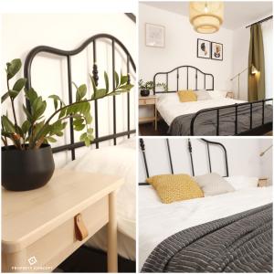 une chambre avec deux lits et une plante en pot dans l'établissement Stylish Concept Studio, à Bucarest