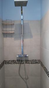 a shower in a bathroom with a shower head at La Prairie in Noyers-sur-Jabron