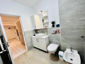 a bathroom with a white toilet and a sink at Altheda Living Zamca C4 in Suceava +14 photos