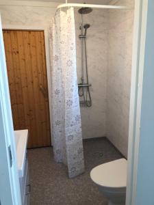 uma casa de banho com uma cortina de chuveiro e um WC em Hede, stuga em Hede