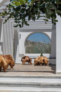 a group of bronze pigs statues in a building at Sea Lilies Suites in Plaka